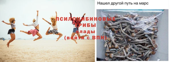 Альфа ПВП Абаза