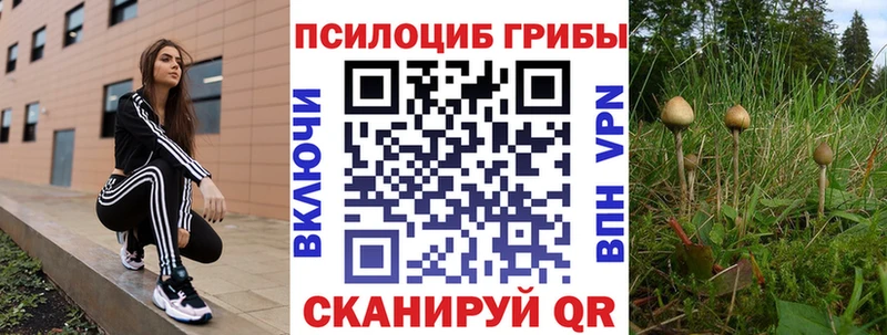 Псилоцибиновые грибы мухоморы цены наркотик Тюкалинск